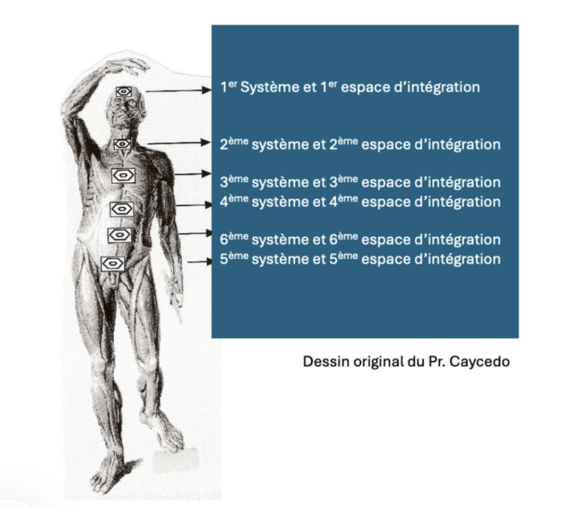 Sophrologie et conscience corporelle